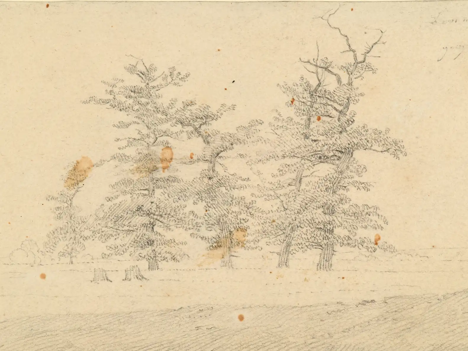 Zeichnung von Caspar David Friedrich mit dem Titel „Skizze großer Eichen“, geschaffen im Jahr 1809.